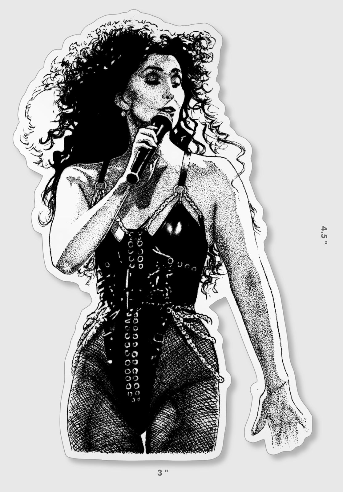 CHER - STICKER